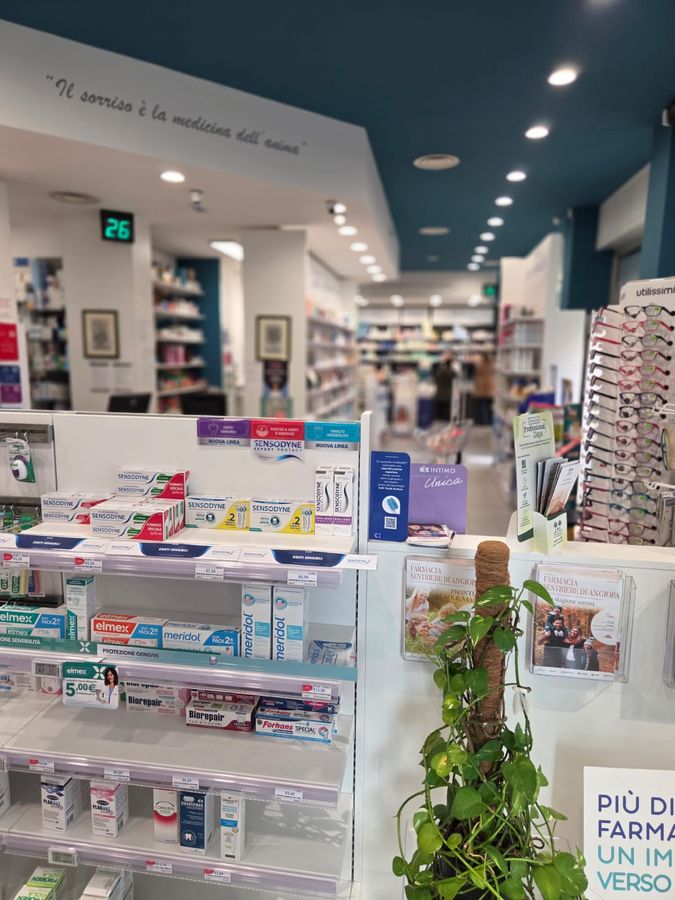 L'interno della farmacia: il banco e le corsie